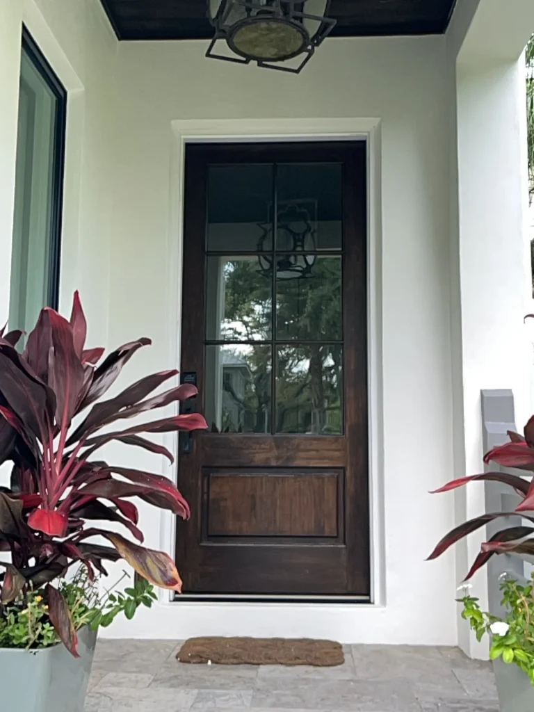 Dark stained wood front door with divided glass panes and white trim