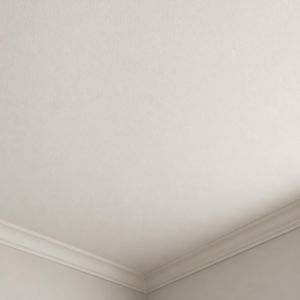 Ceiling repaired and repainted after a leak in a Brunswick GA home